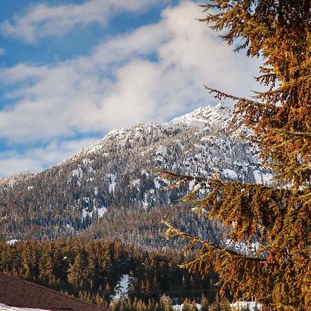 Updated Whistler Creek Studio With Parking Exteriör bild