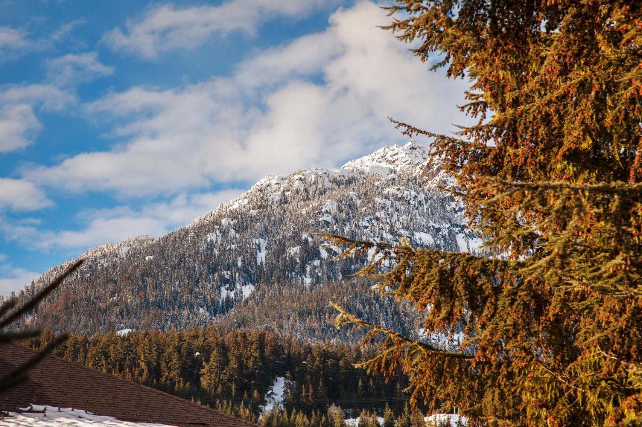 Updated Whistler Creek Studio With Parking Exteriör bild